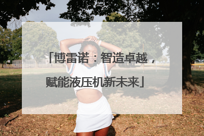 博雷诺：智造卓越，赋能液压机新未来