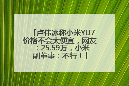 卢伟冰称小米YU7价格不会太便宜，网友：25.59万，小米副董事：不行！