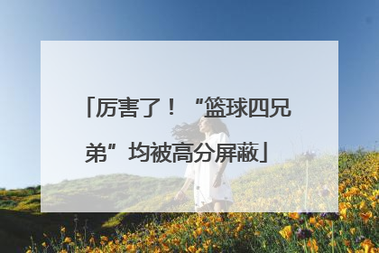 厉害了！“篮球四兄弟”均被高分屏蔽