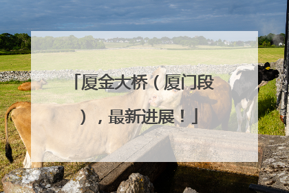 厦金大桥（厦门段），最新进展！