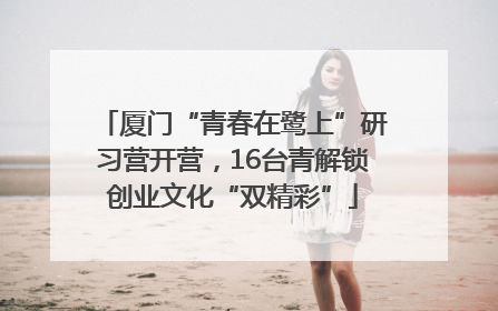 厦门“青春在鹭上”研习营开营，16台青解锁创业文化“双精彩”