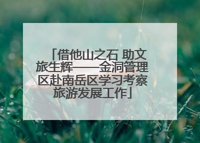 借他山之石 助文旅生辉——金洞管理区赴南岳区学习考察旅游发展工作