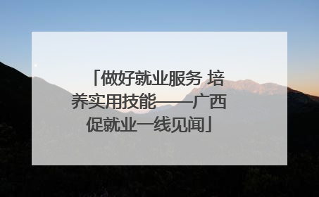 做好就业服务 培养实用技能——广西促就业一线见闻