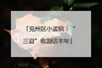 兖州区小孟镇：“三夏”收割话丰年