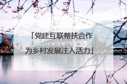 党建互联帮扶合作 为乡村发展注入活力