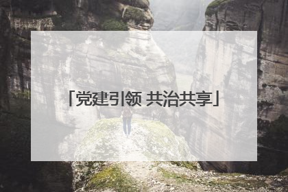 党建引领 共治共享