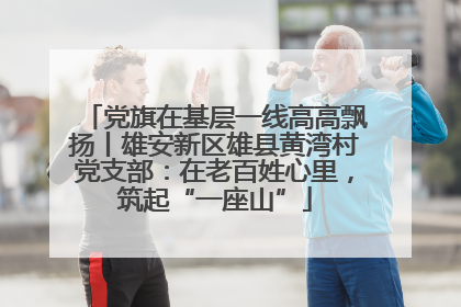 党旗在基层一线高高飘扬丨雄安新区雄县黄湾村党支部：在老百姓心里，筑起“一座山”