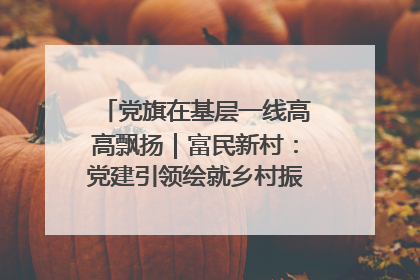 党旗在基层一线高高飘扬｜富民新村：党建引领绘就乡村振兴美丽画卷