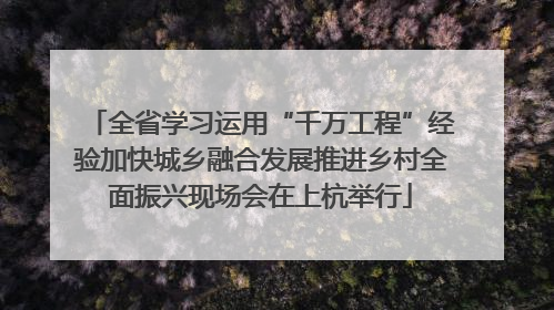 全省学习运用“千万工程”经验加快城乡融合发展推进乡村全面振兴现场会在上杭举行
