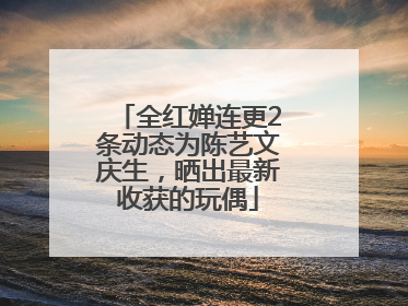 全红婵连更2条动态为陈艺文庆生，晒出最新收获的玩偶