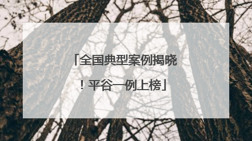全国典型案例揭晓！平谷一例上榜