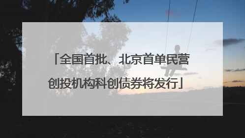 全国首批、北京首单民营创投机构科创债券将发行
