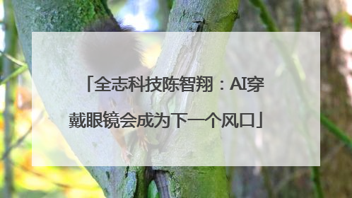 全志科技陈智翔：AI穿戴眼镜会成为下一个风口