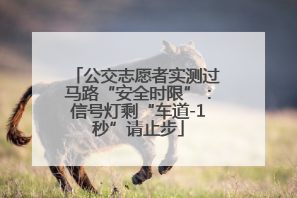 公交志愿者实测过马路“安全时限”：信号灯剩“车道-1秒”请止步