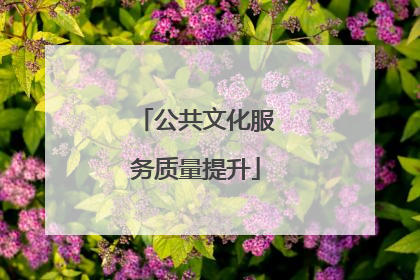 公共文化服务质量提升