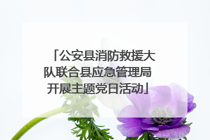 公安县消防救援大队联合县应急管理局开展主题党日活动