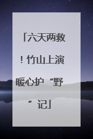 六天两救！竹山上演暖心护“野”记