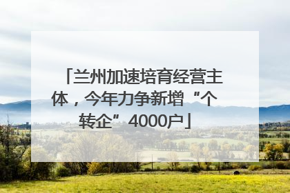兰州加速培育经营主体，今年力争新增“个转企”4000户