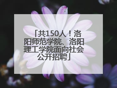 共150人！洛阳师范学院、洛阳理工学院面向社会公开招聘