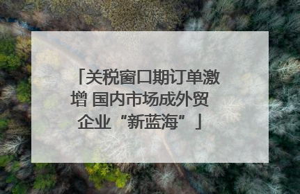 关税窗口期订单激增 国内市场成外贸企业“新蓝海”