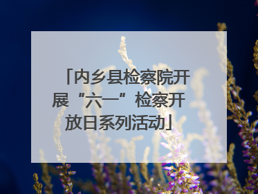 内乡县检察院开展“六一”检察开放日系列活动