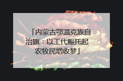 内蒙古鄂温克族自治旗：以工代赈托起农牧民增收梦
