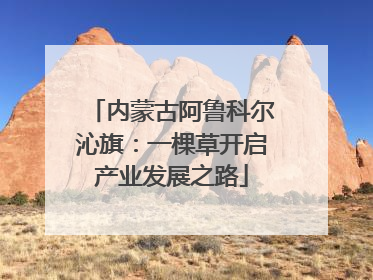 内蒙古阿鲁科尔沁旗：一棵草开启产业发展之路
