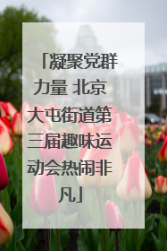 凝聚党群力量 北京大屯街道第三届趣味运动会热闹非凡