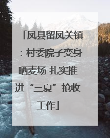 凤县留凤关镇：村委院子变身晒麦场 扎实推进“三夏”抢收工作
