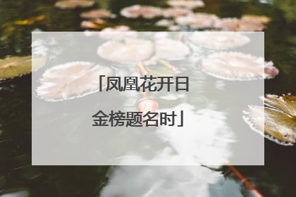 凤凰花开日 金榜题名时