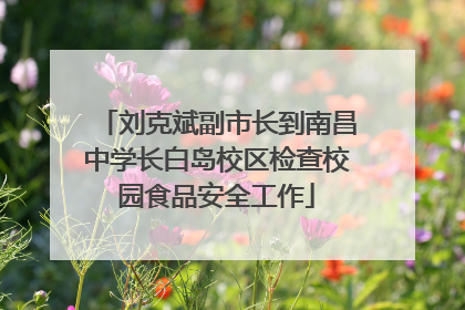 刘克斌副市长到南昌中学长白岛校区检查校园食品安全工作