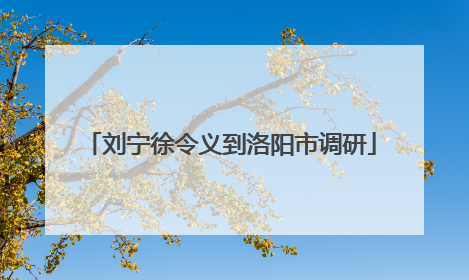 刘宁徐令义到洛阳市调研