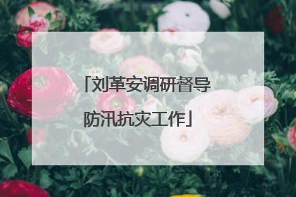 刘革安调研督导防汛抗灾工作