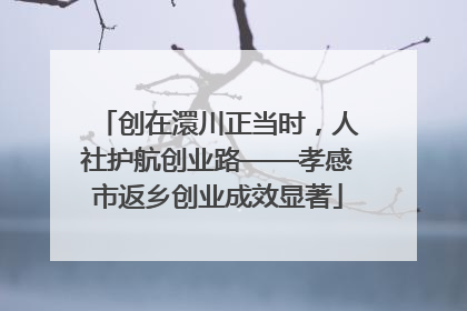 创在澴川正当时，人社护航创业路——孝感市返乡创业成效显著