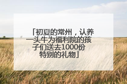 初夏的常州，认养一头牛为福利院的孩子们送去1000份特别的礼物