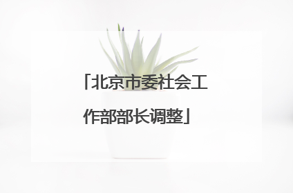 北京市委社会工作部部长调整