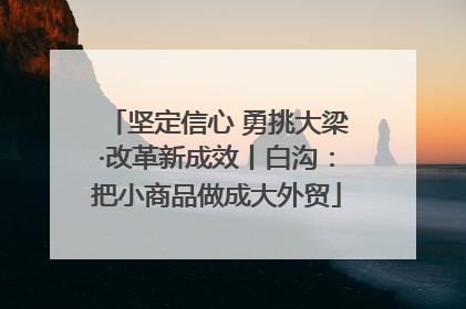坚定信心 勇挑大梁·改革新成效丨白沟：把小商品做成大外贸