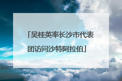 吴桂英率长沙市代表团访问沙特阿拉伯
