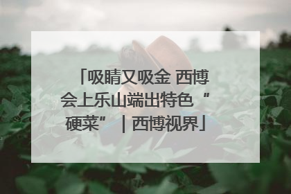 吸睛又吸金 西博会上乐山端出特色“硬菜”｜西博视界
