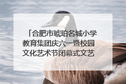 合肥市琥珀名城小学教育集团庆六一暨校园文化艺术节闭幕式文艺汇演圆满举行