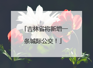 吉林省将新增一条城际公交！