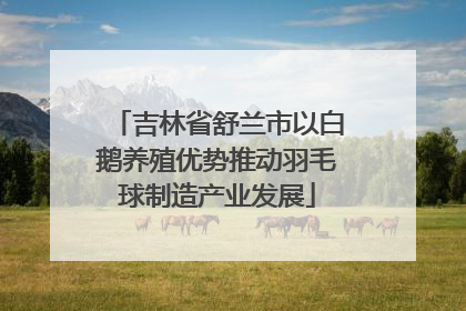 吉林省舒兰市以白鹅养殖优势推动羽毛球制造产业发展
