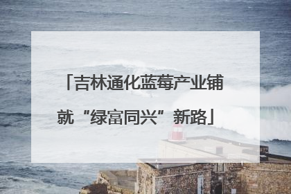 吉林通化蓝莓产业铺就“绿富同兴”新路