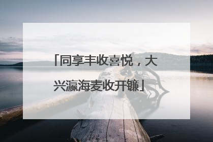 同享丰收喜悦，大兴瀛海麦收开镰