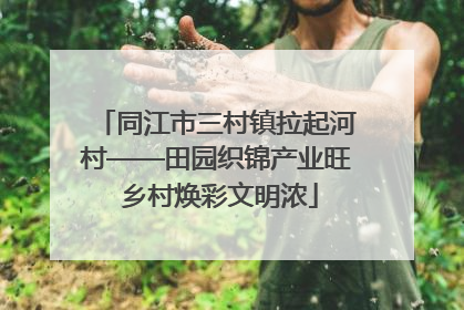 同江市三村镇拉起河村——田园织锦产业旺 乡村焕彩文明浓