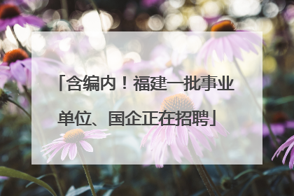 含编内！福建一批事业单位、国企正在招聘