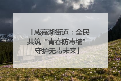 咸嘉湖街道：全民共筑“青春防毒墙” 守护无毒未来