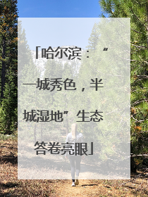 哈尔滨：“一城秀色，半城湿地”生态答卷亮眼