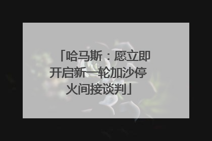 哈马斯：愿立即开启新一轮加沙停火间接谈判