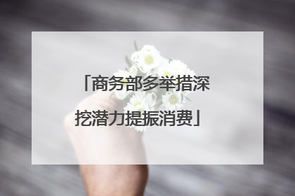 商务部多举措深挖潜力提振消费
